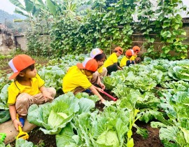 Hoạt động trải nghiệm